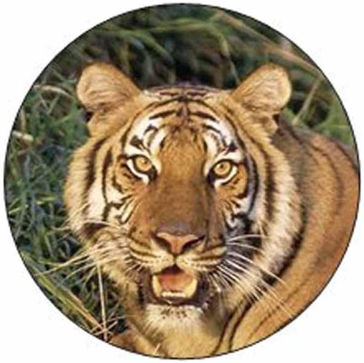 Tiger Face Stickers - Gift Bag or Envelope Seals - Animal Theme Stationery Design - Party Favor Supplies - Set of 24