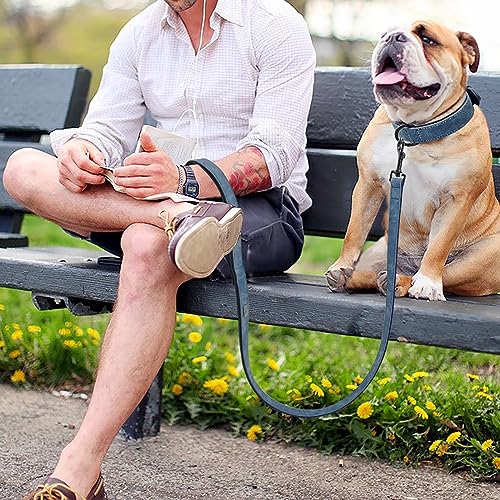 Image of Didog PU Leather Dog Collar and Leash Set, Soft Padded, Blue, Neck 18-22 inch