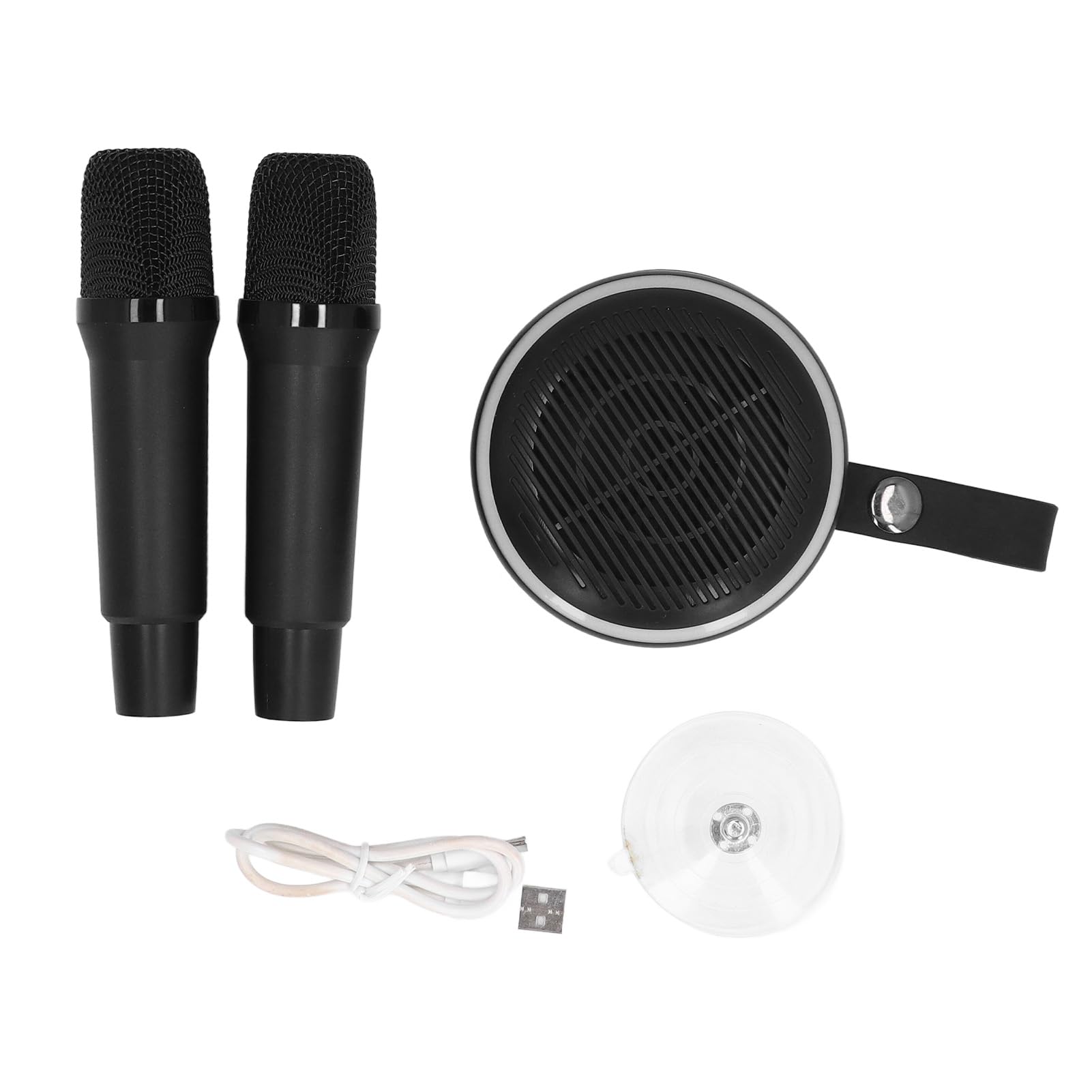 Mini Set Karaoke, Altoparlante Portatile con 2 Microfoni per Feste in Casa, Campeggio All'aperto (Black)