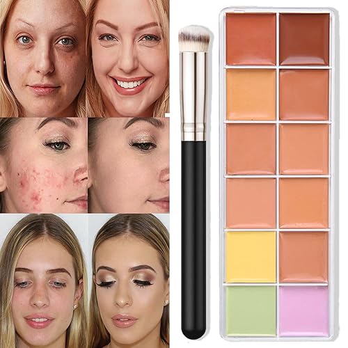 evpct Juego de paleta de maquillaje de 12 correctores de color para piel madura, rosa, corrector debajo de los ojos, kit de crema para ojeras e