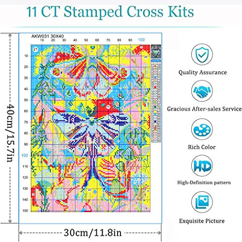 Image of Eiazuiks Stamping Cross Stitch Kit, Study Counting Cross Stitch Kit for Adult Beginners, Full Line DIY Stitching Kit for Home Decor Cross Stitch Patterns 12x16 inches