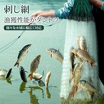 投網 とあみ 魚 漁業 漁師 フィッシング スポーツ ネット 釣りネット 投網 とあみ 魚 漁業 漁師 フィッシング スポーツ ネット 釣り