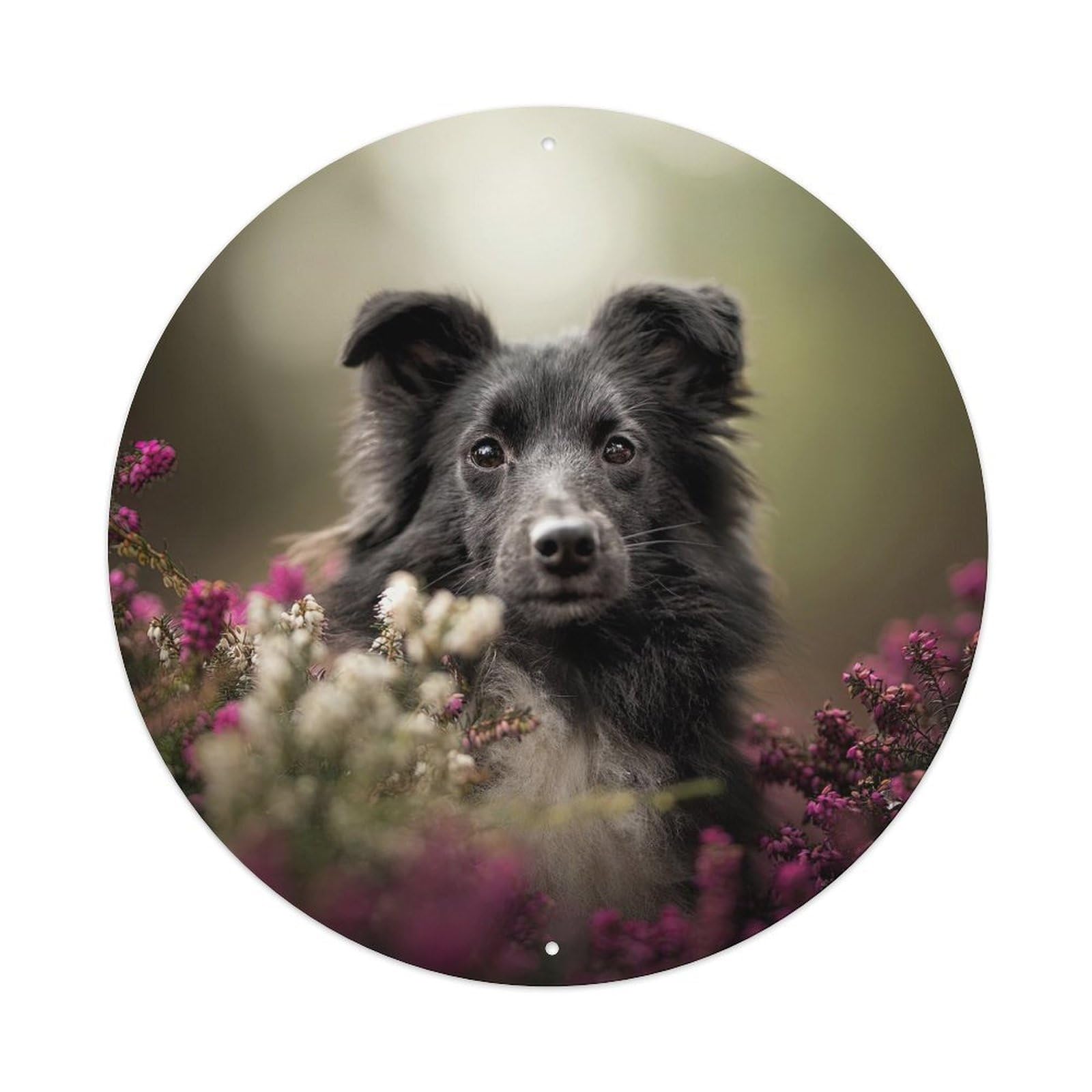 Cwbufd Vintage Style Animal Border Collie Heather Flowers Forest Bokeh Natural Realism Vintage Metal Tin Sign Plaque Wall Decor For Cafe, Club Bar, Office, Garden Metal Poster 8X8inch
