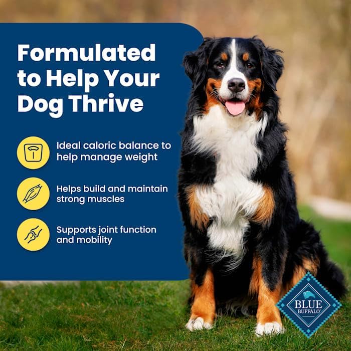 Blue Buffalo Life Protection Formula Chicken Healthy Weight Adult Dry Dog Food, 24 lbs.