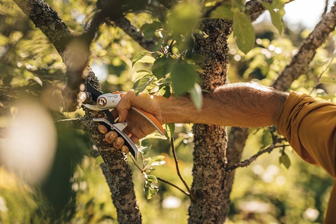 Fiskars PowerLever 1057172 Bypass Secateurs for Fresh Branches and Branches, Non-Stick, Steel Blades/Aluminium Handles, Black/Orange, Plus, P751