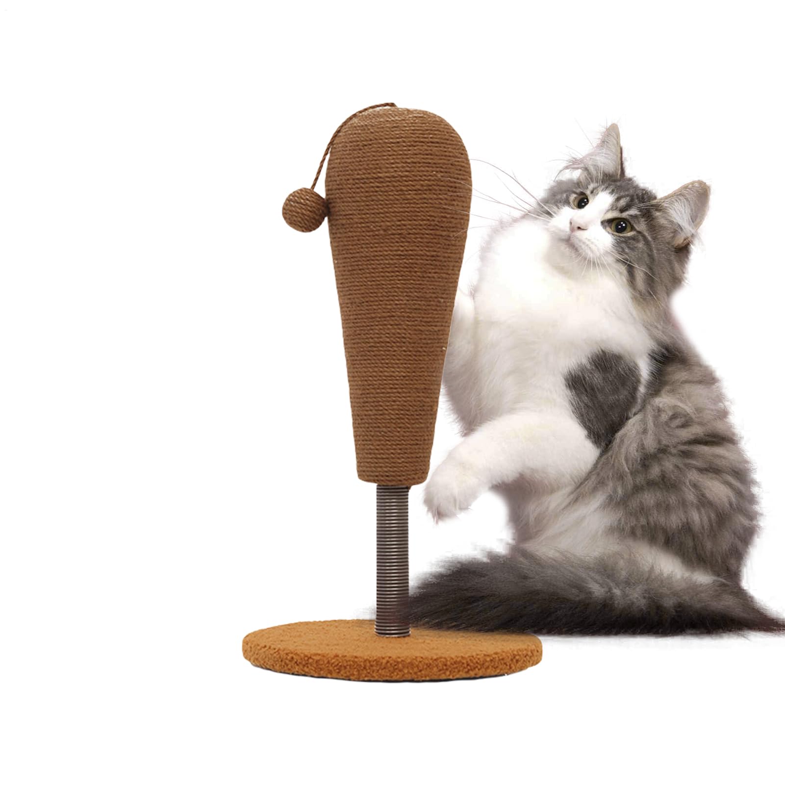 Griffoir pour chat pour protéger les meubles et amuser votre animal