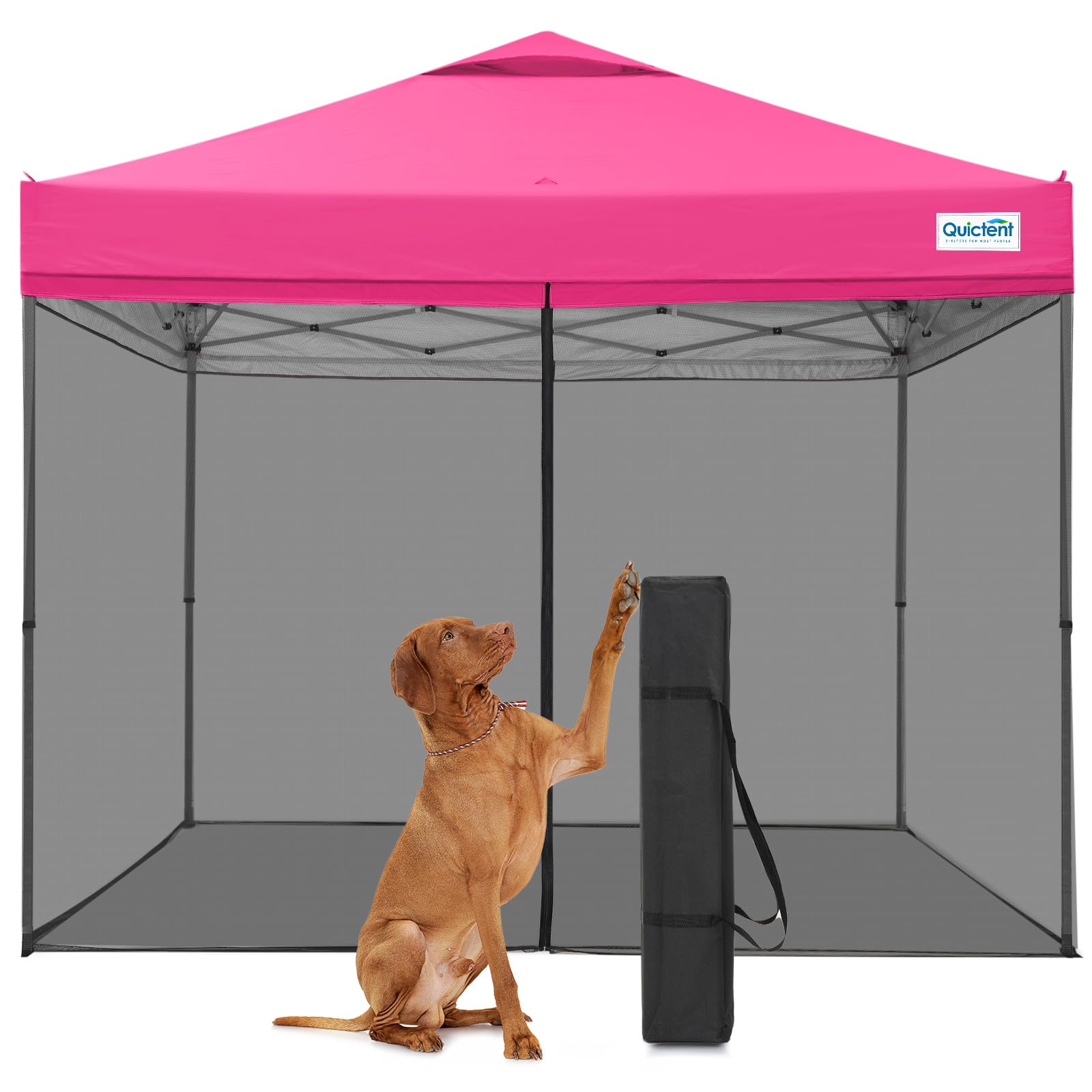 Quictent 10x10 Pop Up Screened Canopy Tent with Netting