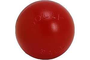 Jolly Pets Push-n-Play Ball Dog Toy: An Indestructible Entertainment for Large Dog Breeds