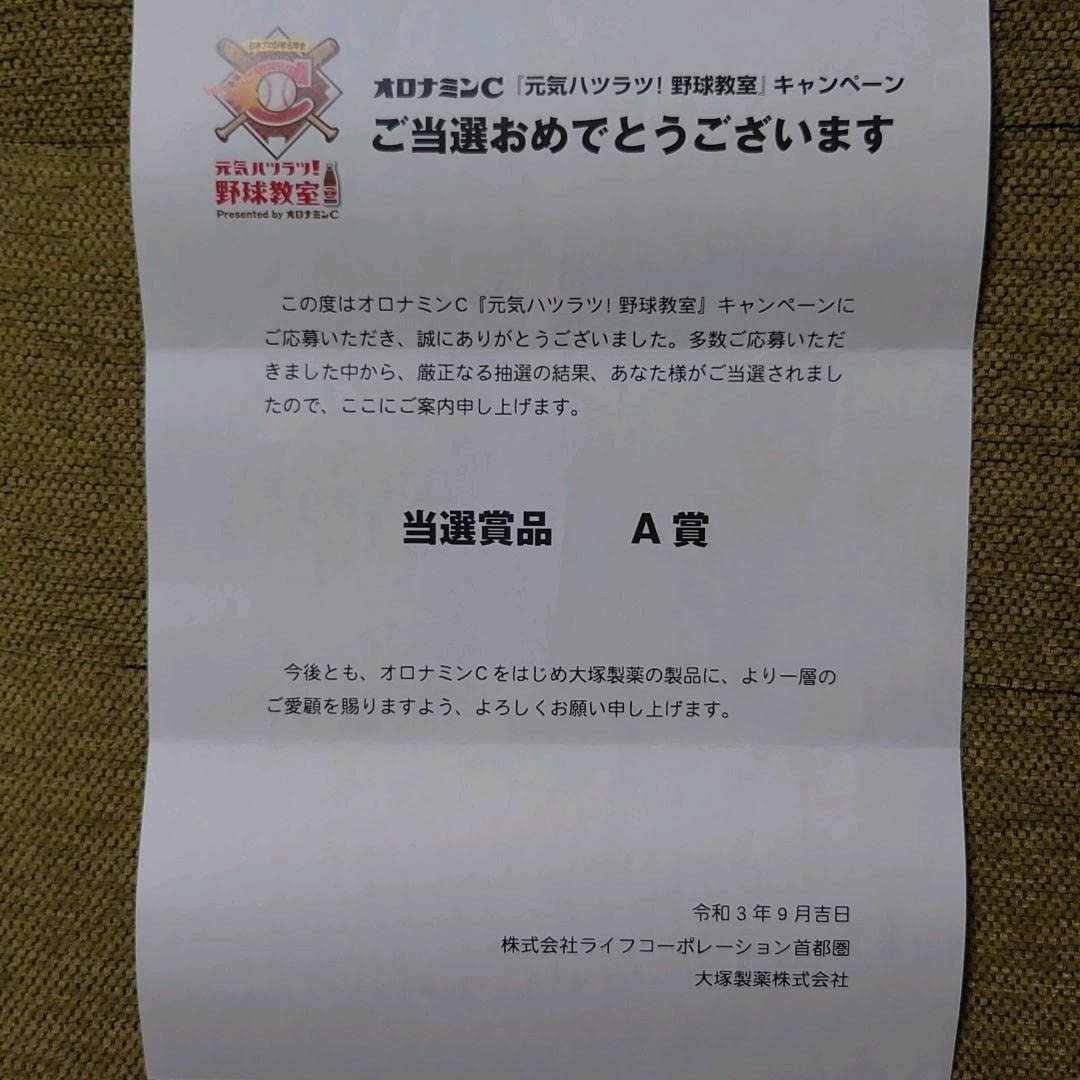 中日ドラゴンズ　立浪和義　直筆サイン入バット Amazon.co.jp: 中日ドラゴンズ監督 立浪和義 直筆サイン入り