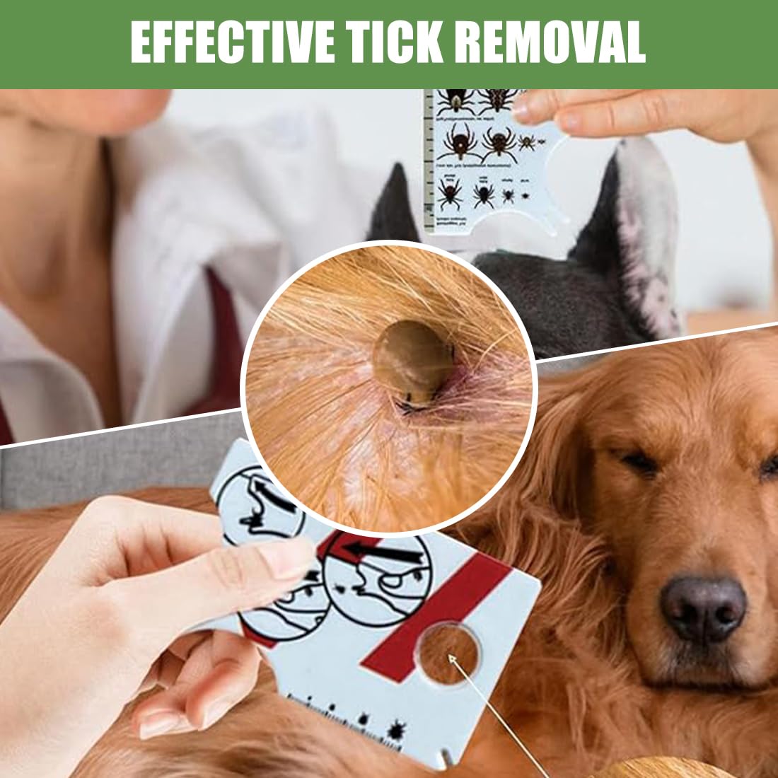 WeddHuis Set de 4 peignes anti puces pour chats et chiens, avec clip à tique, dents en métal, outil d'épilation multifonctionnel pour chiots et chatons (Acier inoxydable)