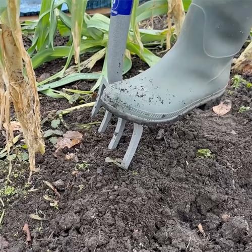 Spear & Jackson 1680NB Neverbend Carbon Grabegabel – Robust und langlebig, ideal für Gartenarbeit… – Ansicht 5