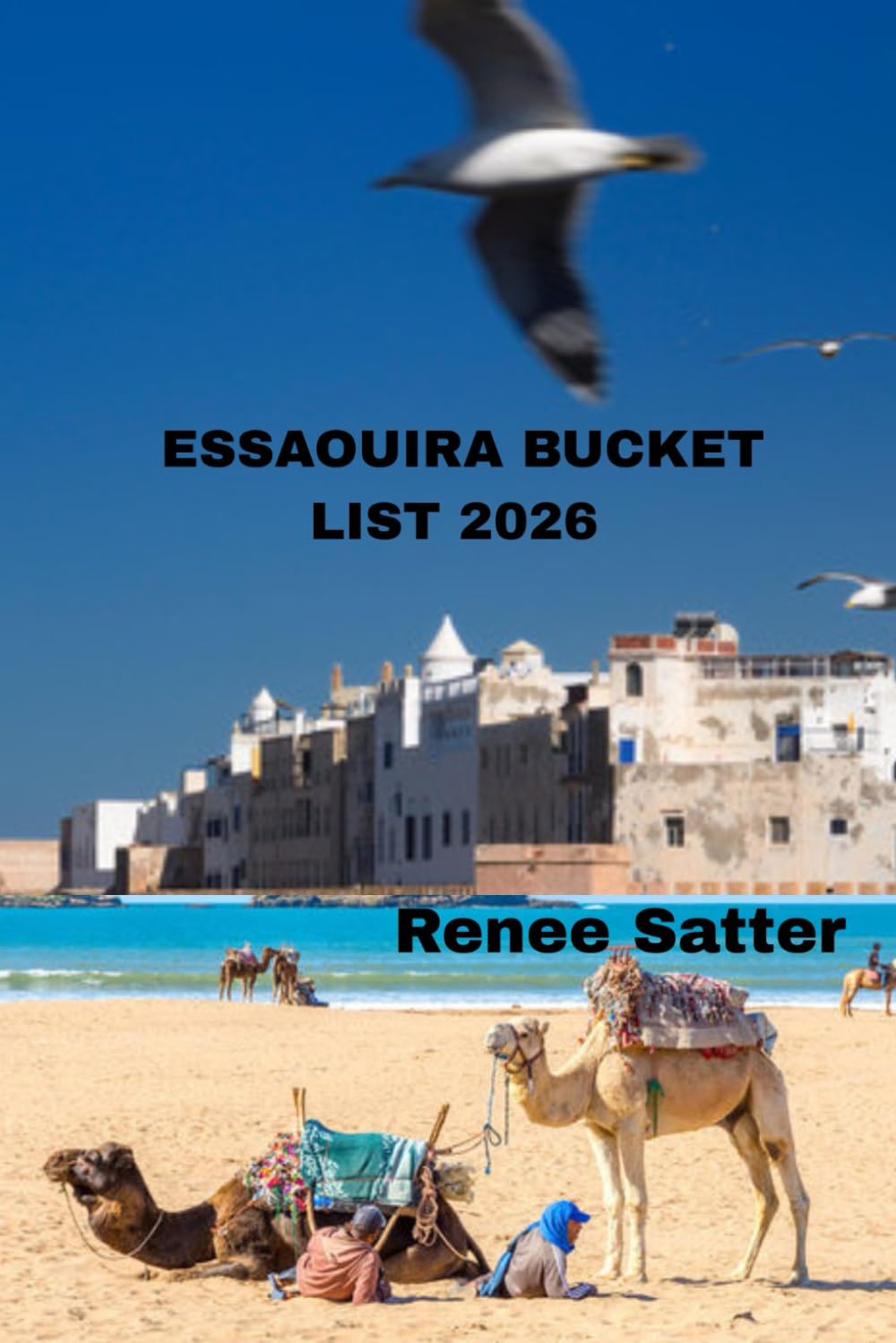 Essaouira Bucket List 2026: Discover the Best Attractions, Hidden Gems, and Unforgettable Experiences