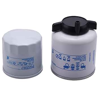 user_137e02b5 Women's Simi Fringe Pullover in Natural | Brochu Walker