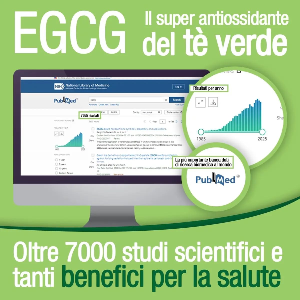 EGCG da tè verde ≥95% - Stimolante metabolico, blocca-fame, energizzante