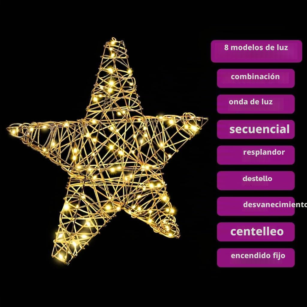 vidaXL Estrella 3D 50 LED cálido 55 x 52.5 x 9 cm Ratán
