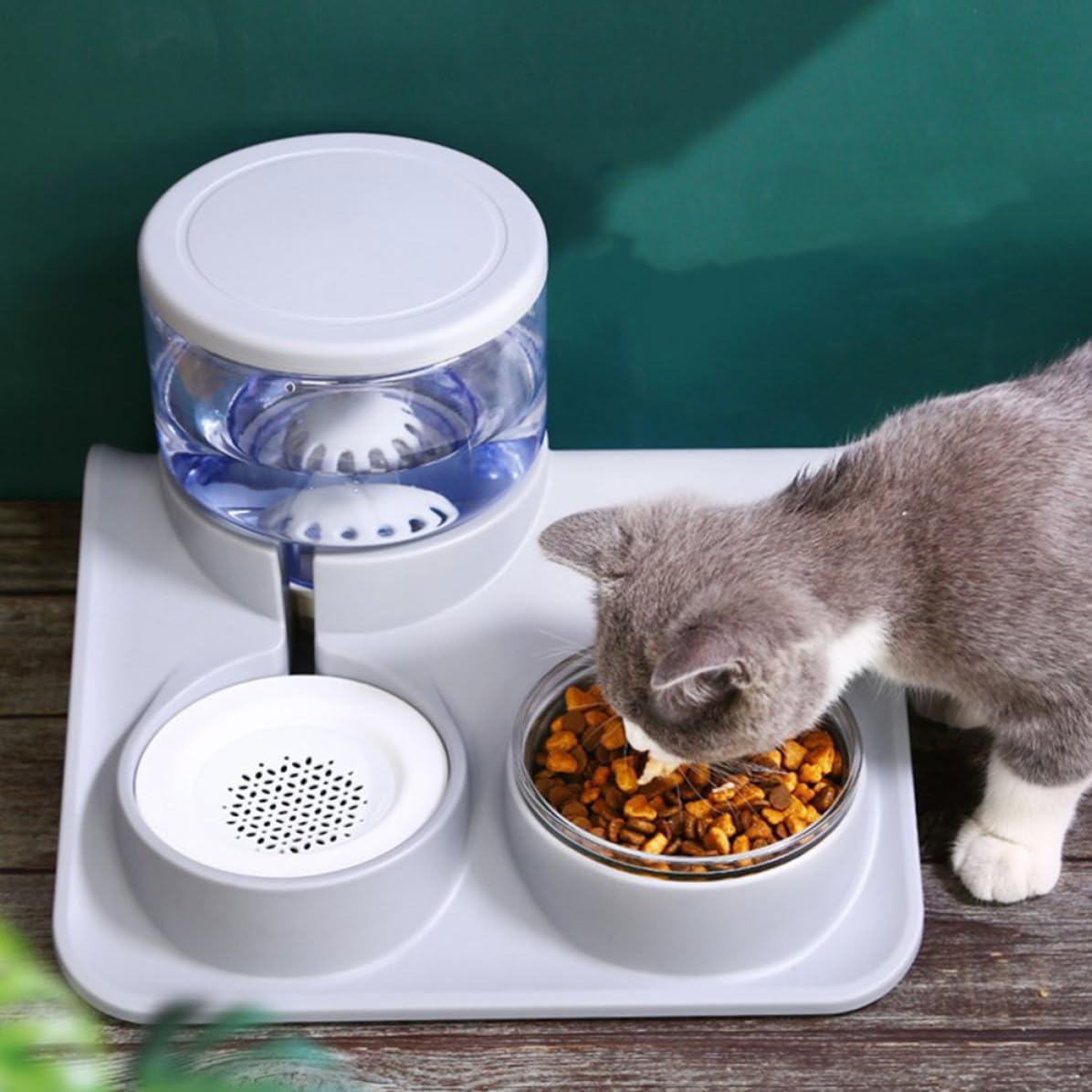 GLEAVI Automatischer Trinknapf für Haustiere aus Edelstahl mit Bissfestigkeit und Kippschutz Hundenapf und Katzennapf für Zuhause und Unterwegs