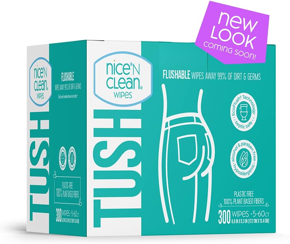 Nice 'N Clean Moist Flushable Wipes, Infused Aloe & Vitamin E, 60 Wipes (Pack of 5)