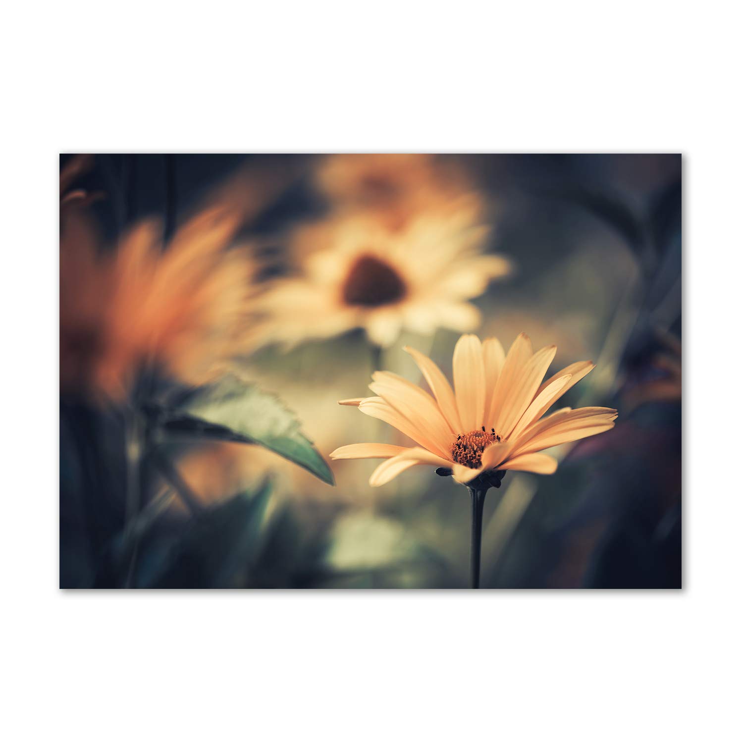 Image verre plastique haut de gamme Flor de Primavera Tulup au design beige raffiné
