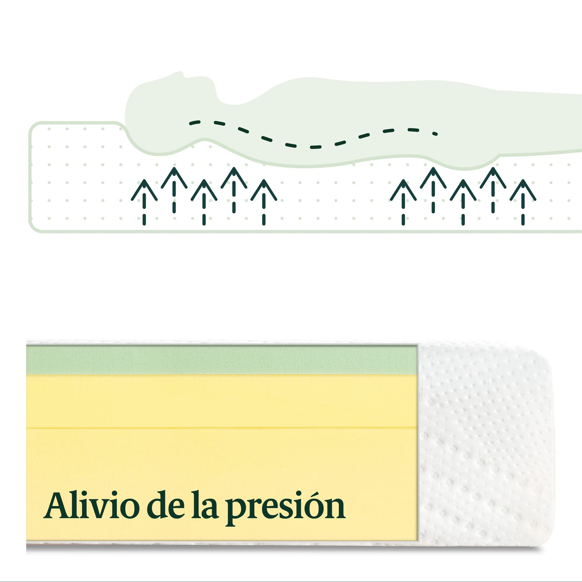 Zinus Colchón de Espuma viscoelástica con té Verde Essential | Adaptable de 7 Zonas | 150 x 190 cm | Altura de 20 cm | Asequible | Oeko-Tex