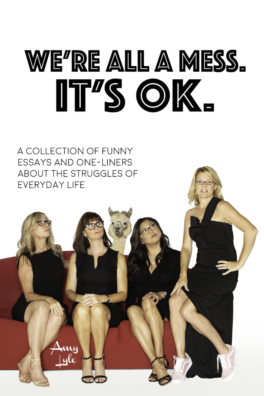WE'RE ALL A MESS, IT'S OK: A collection of funny essays and one-liners about the struggles of everyday life.