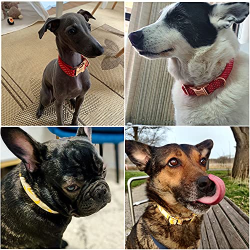 Custom Dog Collar With Names And Phone Number Engraved, Puppy Tags Personalized For Small Medium Large Pets #TOP6