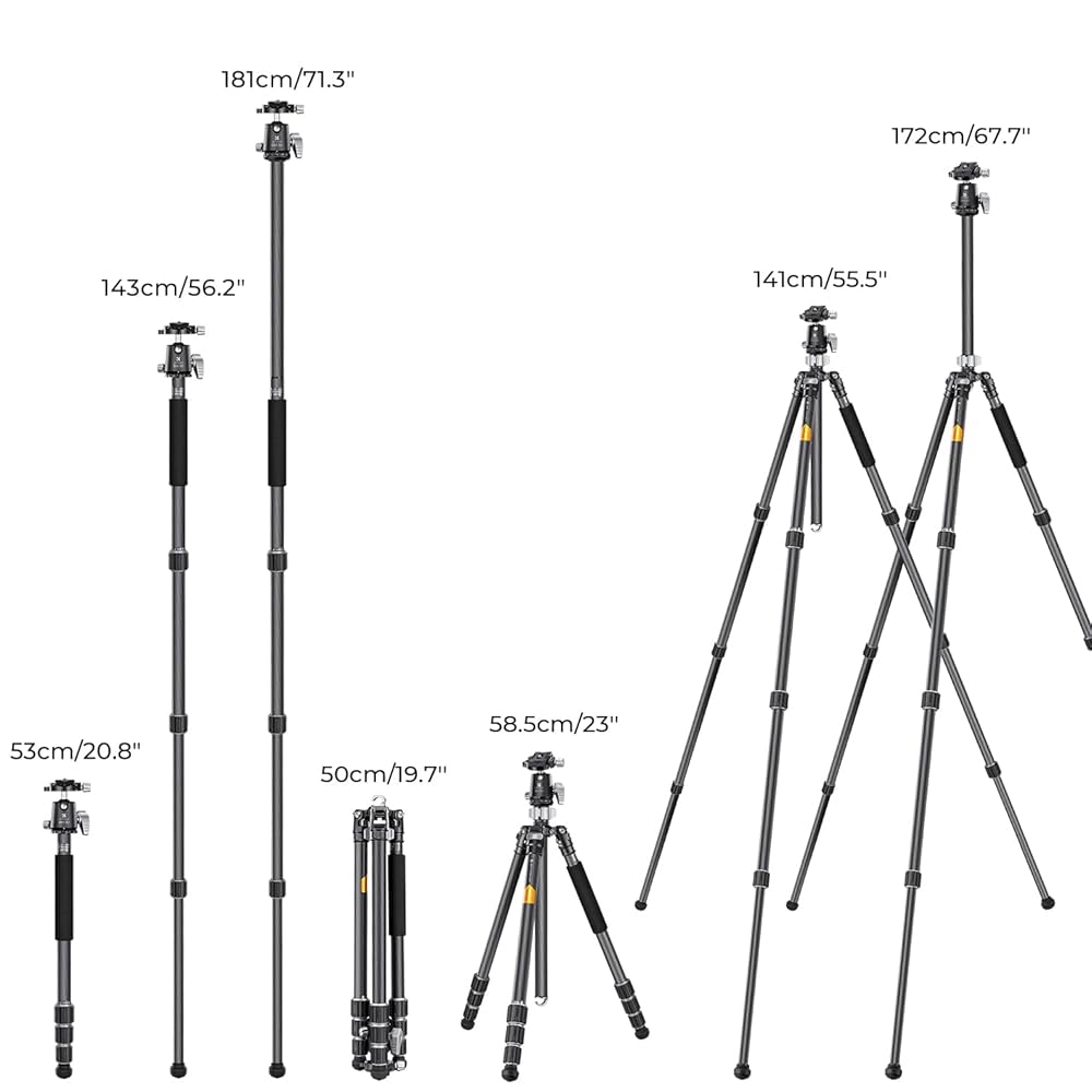 61ao9cZ4JdL._UF1000,1000_QL80_.jpg