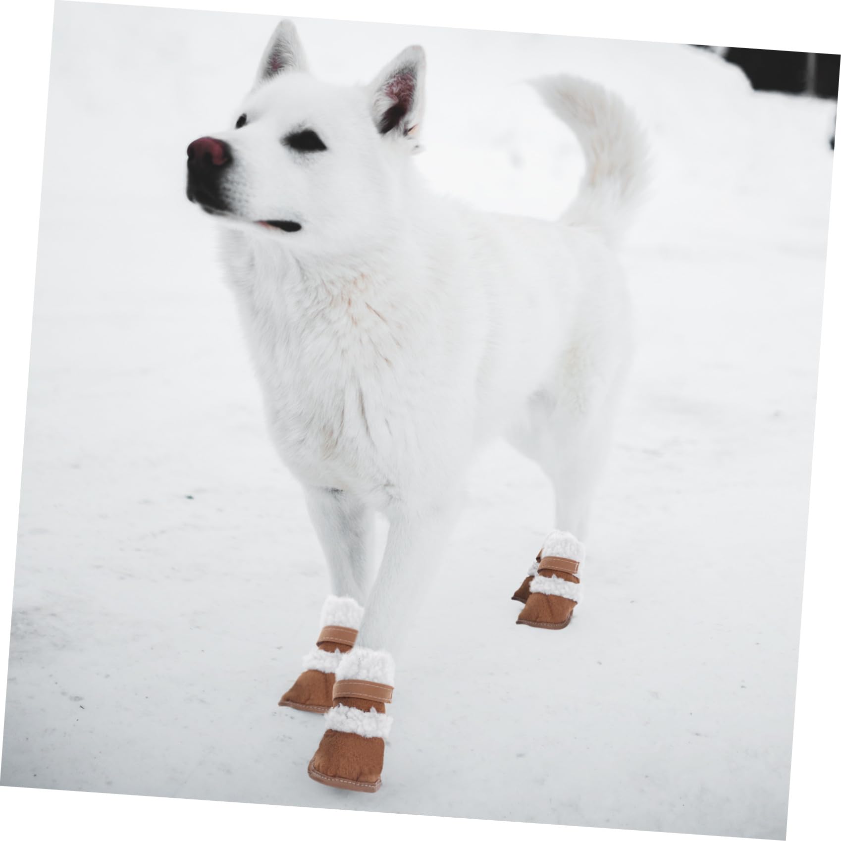 Beavorty 6paires Hiver pour Chiens Chaussures Antidérapantes Et Isolantes pour Animaux Parfaites pour Sorties Neige Froid