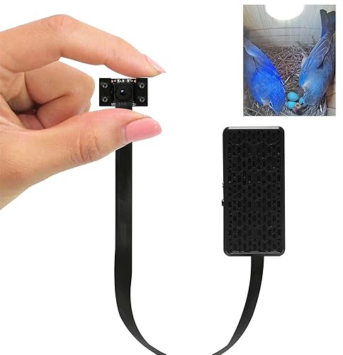 WIWACAM Cámara WiFi Bird Box, video 4K HD Snapshot 2K, diseñada para pajareras, para golondrinas de árboles Robins Wrens, video en vivo al teléfono,