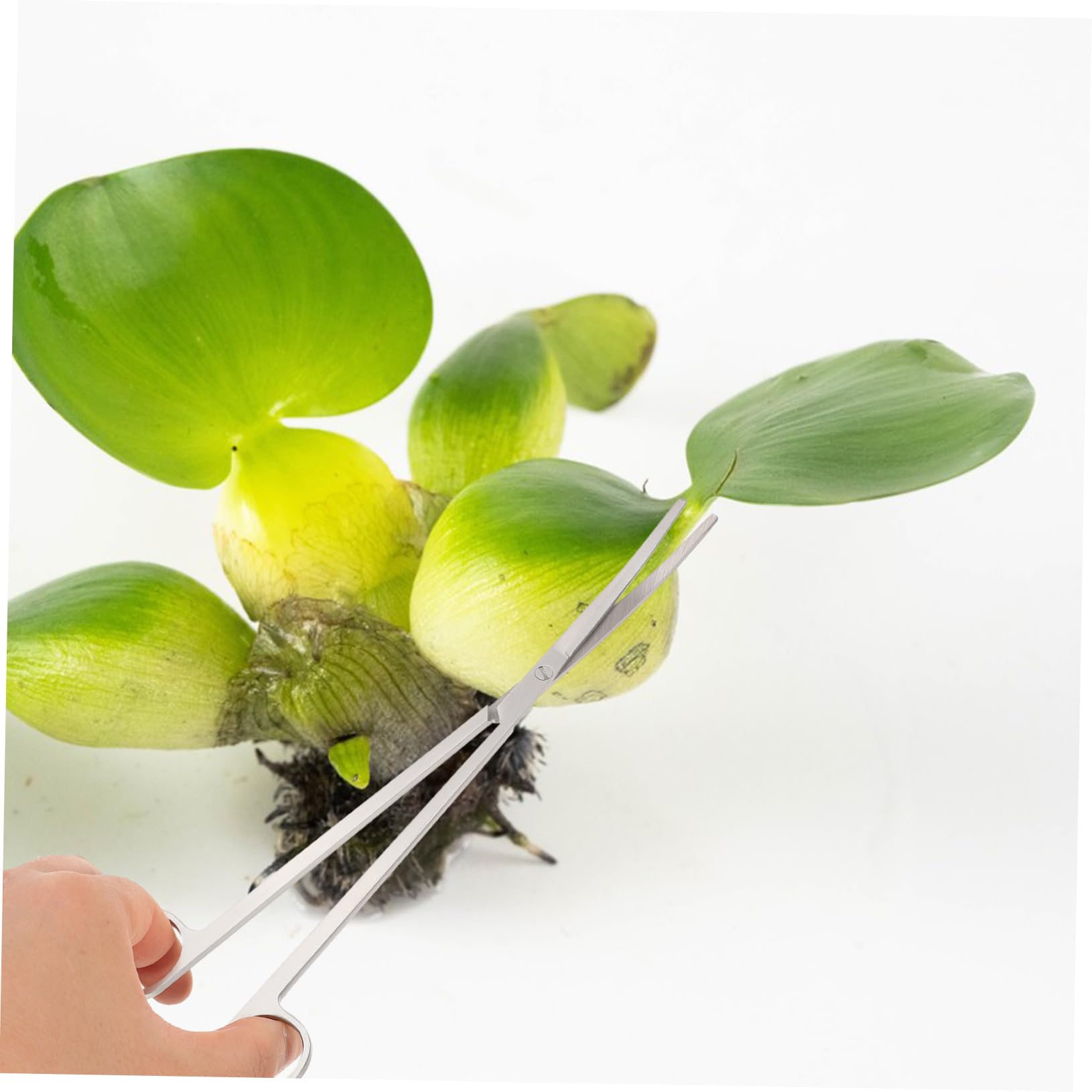 BESPORTBLE 5 Juegos De Herramientas para Acuario Soporte Kit para Acuario Decoraciones para Pecera Pinzas para Red Herramientas para Plantas Acuáticas Filtro para Peces