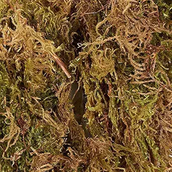 moss grass for plants 4.5kg