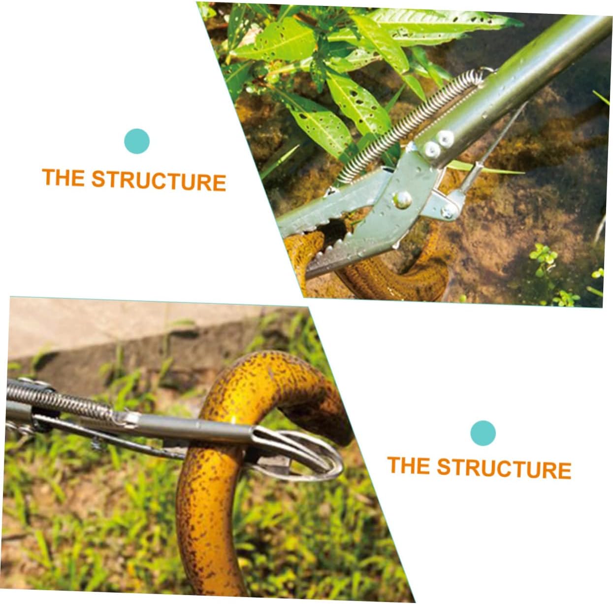 Stainless Steel Eel Tongs Non- Gripper Clamp for Crab Lobster and Eel Portable Seafood Tool for Easy Catching and Handling Scissor Design for Outdoor Use
