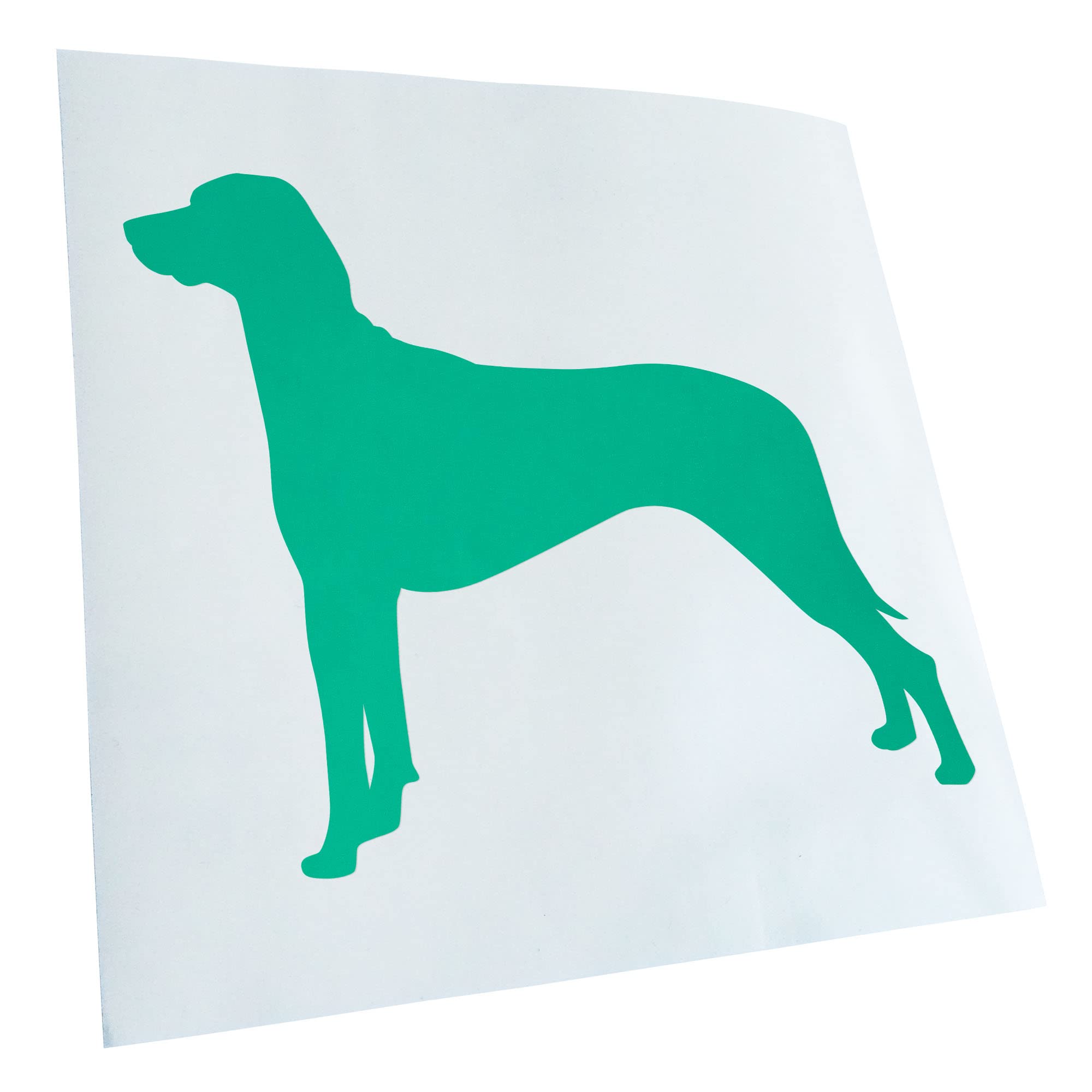Kiwistar - Car Sticker - Turquoise - 40 x 33 cm Ridgeback Rhodesian Dog - Rear Window Car Sticker Weatherproof for Car Truck Moped Truck - Sticker Exterior Self-Adhesive Tuning Accessories for Window