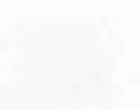 Vista 2 de DALIX Persianas verticales blancas de repuesto de 82.5 pulgadas (24 unidades)