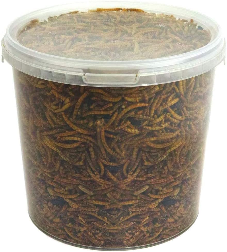GardenersDream Dried Mealworms | Premium Garden Wild Bird Food Mix | Protein-Rich, Great Source of Energy | Contains Beneficial Mixed Vitamins | Large Variety (5L Tub)