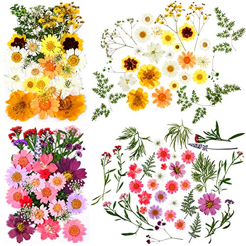 Set de Pegatinas Naturales Flores Secas Presionadas y Mariposas miniatura 4