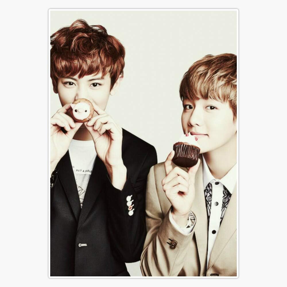 Exo - Chanyeol and Baekhyun Sticker Vinyl Bumper Sticker Decal Waterproof 5"