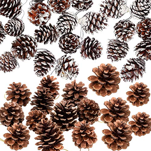 24 Pcs Fall Ornaments,Natural Pine Cones Dyed White Pine Cones for Christmas Fall Thanksgiving Decoration