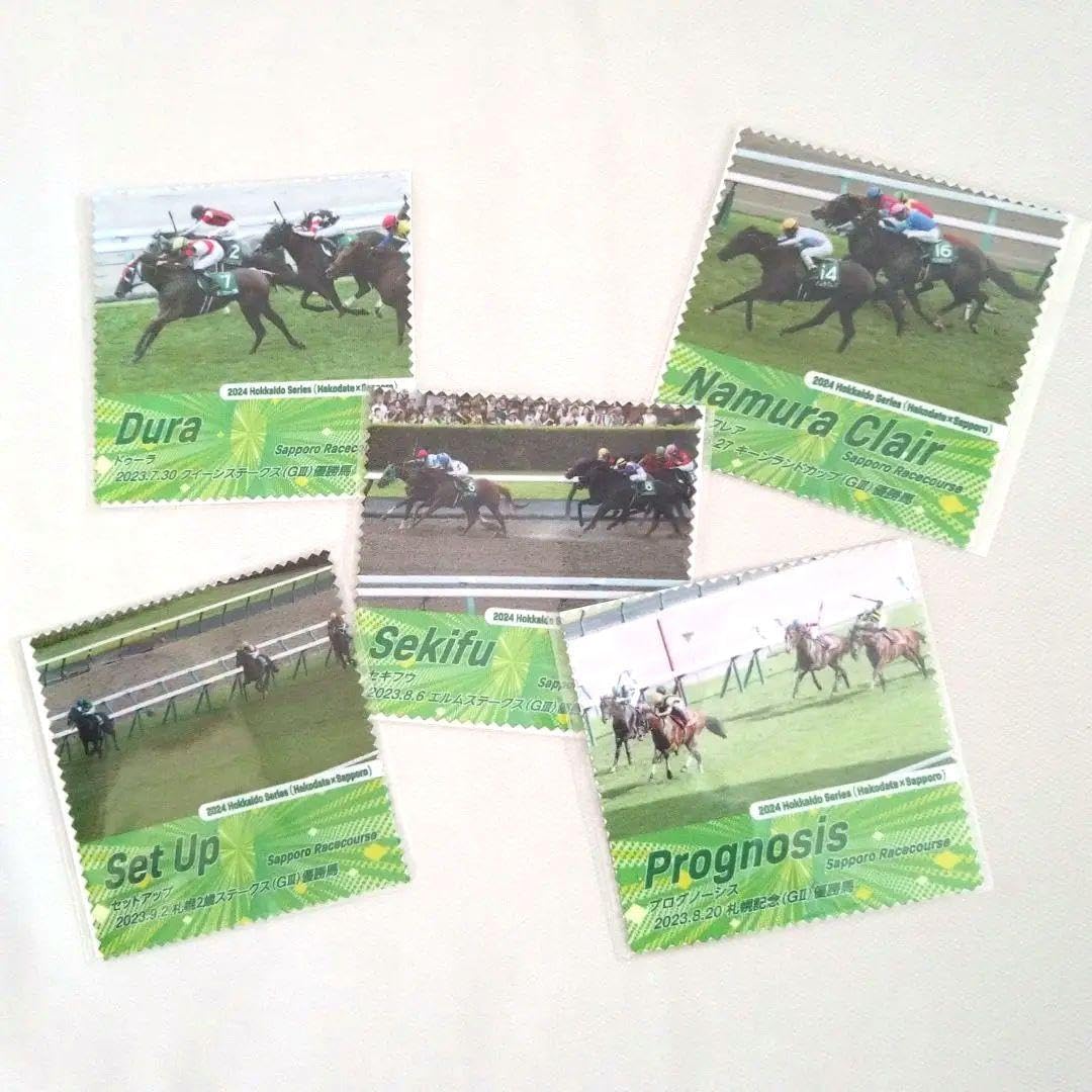 2024年JRA 函館競馬場 マイクロファイバークロス10枚セット ROKZFIRC