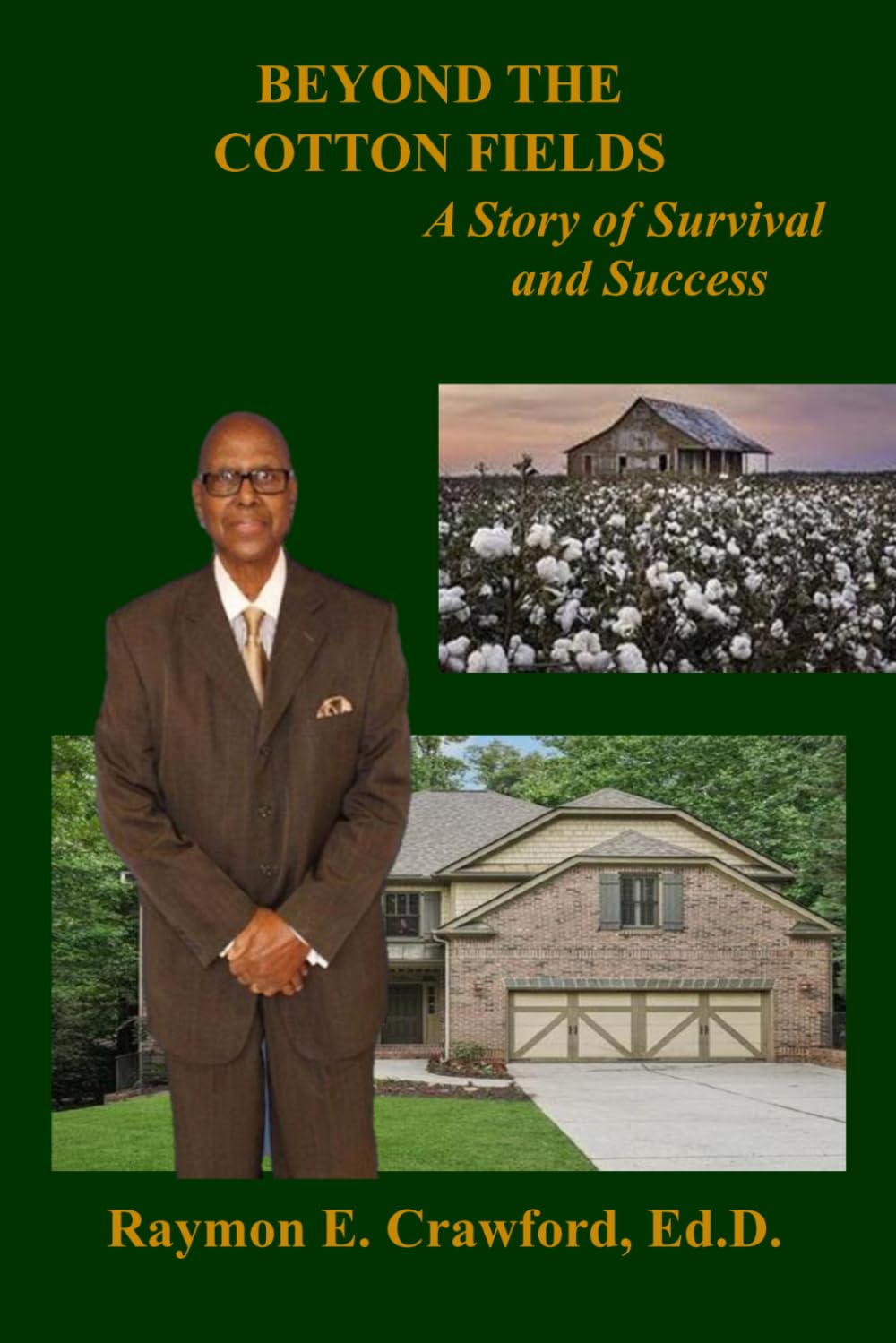 Beyond the Cotton Fields: A Story of Survival and Success