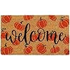 AnyDesign Fall Coir Doormat Welcome Pumpkins Door Mat Non Slip Farmhouse Floor Mats Autumn Decorative Entrance Door Rugs for Halloween Thanksgiving Indoor Outdoor Bathroom Porch Decor 165 x 29 Inch