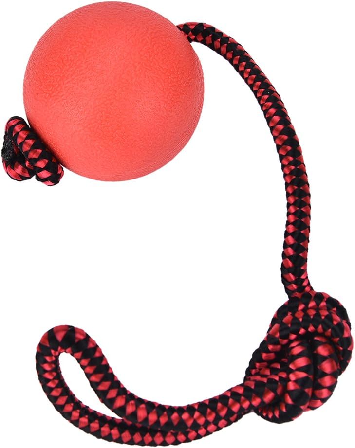 CoscosX Dog Toy Ball On a Rope Reward for Pet Training