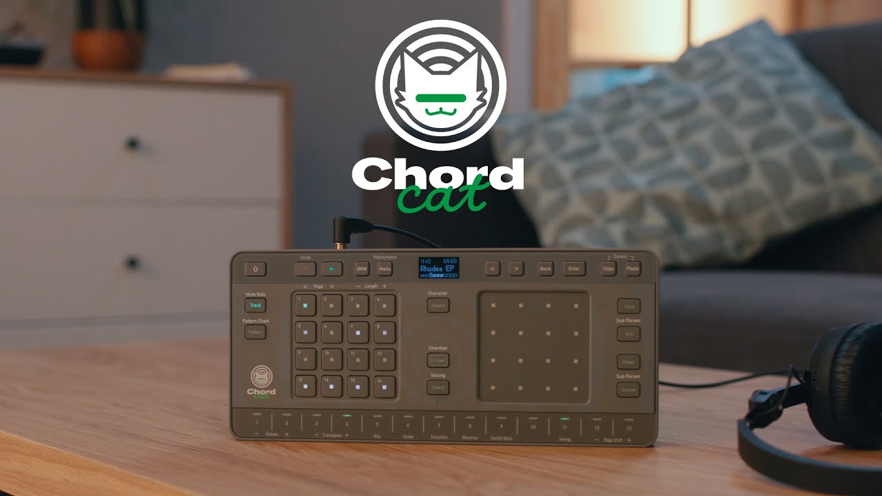 Amazon.com: AlphaTheta Chordcat 8-Track groovebox : Musical