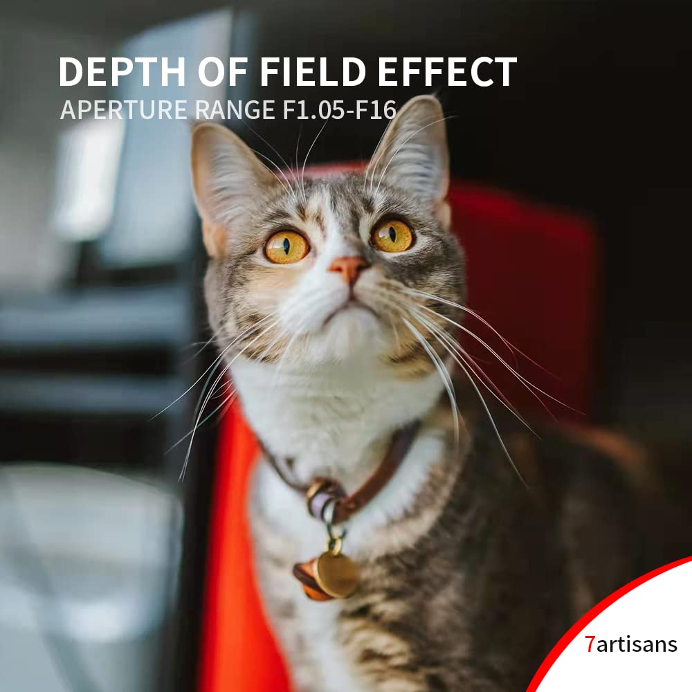 7artisans Obiettivo Full Frame da 50 mm f1.05 a grande apertura compatibile con fotocamere Canon R-Mount Messa a fuoco manuale