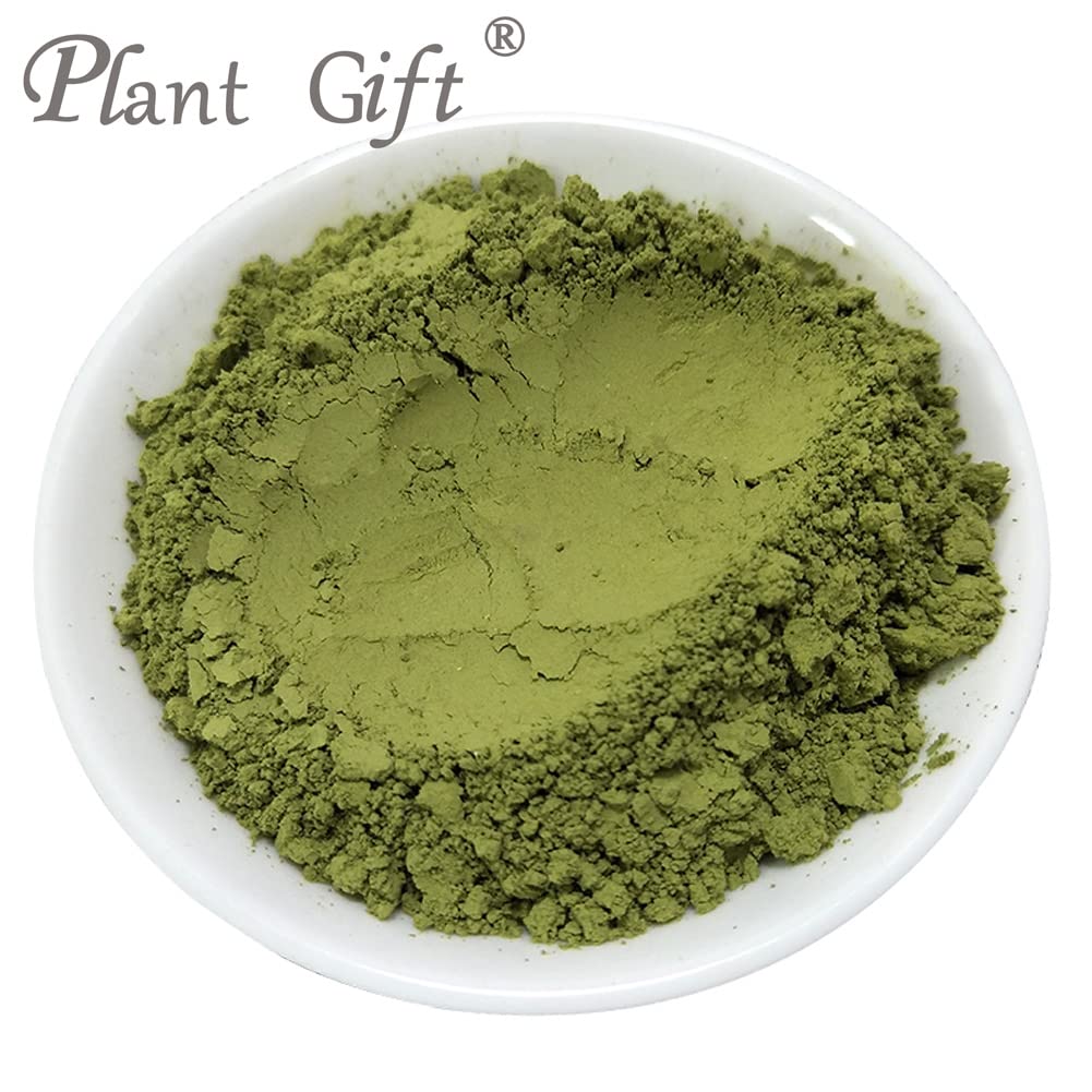 Plant Gift 100% Pur Poudre de Feuilles de Mûrier 桑叶粉, Pour Boissons 100g/3.25oz