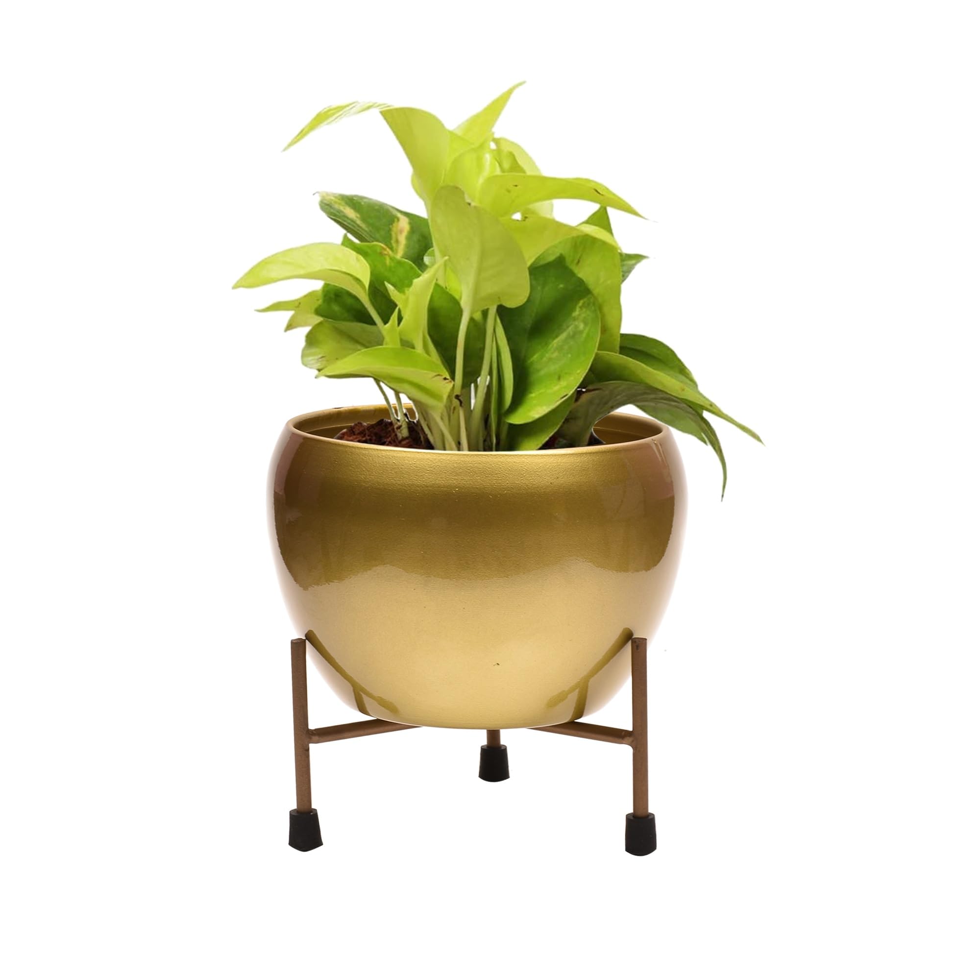 GreenHeart Gold Finish Metal Apple Shape Attractive Planter Pot with Rust Free Metal Stand | Indoor & Outdoor Decor |Flower Decor| traiding Pot, Royal Colour and Royal Pot (B0CLGQ1F37) Amazon Price History, Amazon Price Tracker