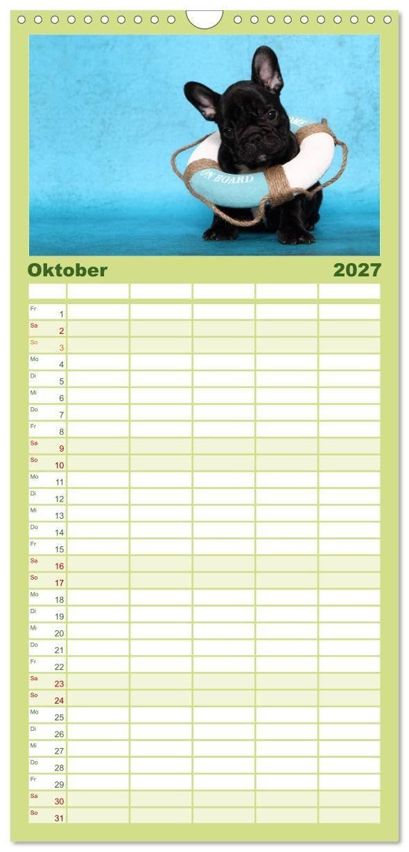 Familienplaner 2027 - Der Bully - Kalender Familienplaner hoch mit 5 Spalten (Wandkalender, 21 x 45 cm) CALVENDO: Geburtstagskalender für alle Bully-Fans