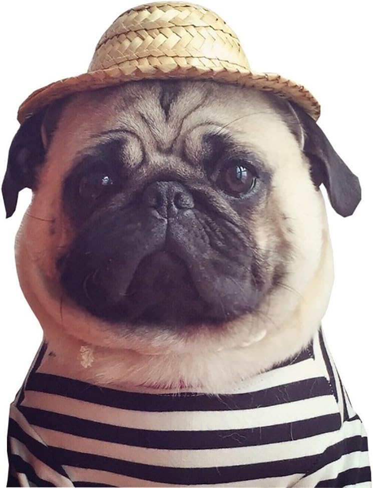 SupremeLife Cat Dog Straw Hat Funny Costume Accessories (S) Amazon.ca
