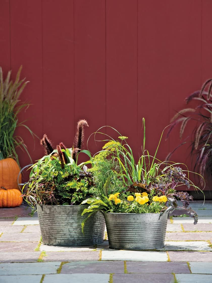 Gardener's Supply Company Galvanized Planter | Indoor Outdoor Sturdy Vintage Style Wash Basin Farmhouse Metal Tub Container with Handles | Medium & Large (Set of 2)