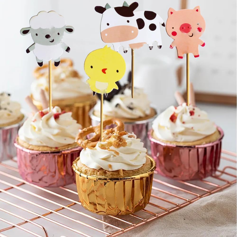 Flugzeug Cake Topper Set – Kuchen-Deko Mit Pilot, Flugzeug, Wolken & „Happy Birthday“-Schild