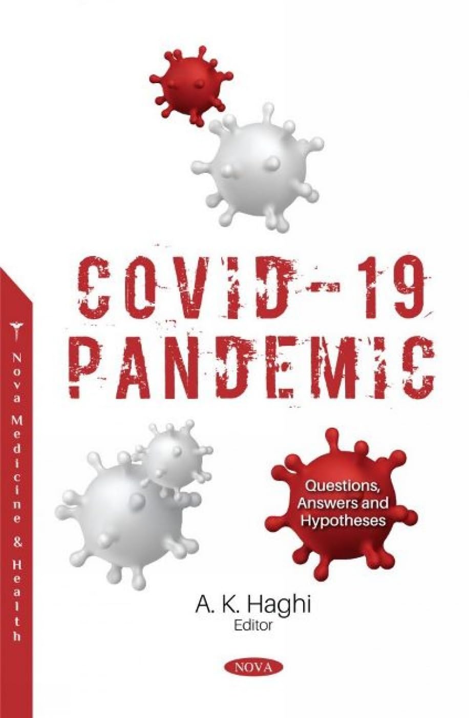 Buy COVID-19 Pandemic: Questions, Answers and Hypotheses — BookShops.in